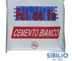 CEMENTO BIANCO DA KG 1
