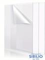 LASTRE DA MM 2 TRASPARENTE 1000X500 ART 51TV00G020