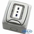 CONTENITORE STAGNO CON BIVALEN  60457