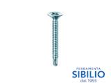 VITI DRILLEX TSP 3,9X50 ZINC.BIANCA CF 200 PZ AUTOFOR