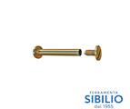 VITI A CANNOCCHIALE C/TESTA OL VC700 DA mm.70