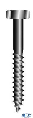 VITE TE INOX 06X50 UNI 5739 A2