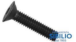 VITI TPS BRUNITE 6X40 C/ESAGONO A/32P64006