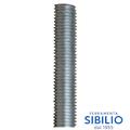 SPEZZONI FILETTATI 6X50 ZC        035065002