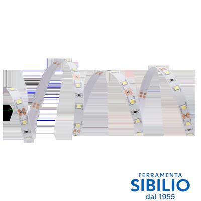 STREEP LED ADESIVO MT 5 6400k IP20 4.8W REEL2835IP20BF_