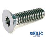 VITI TSPEI DIN 5933 A2  8X70  INOX