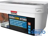 SOUDAGUM HYDRO KIT TERRACOTTA ART. 135463 SOUDAL